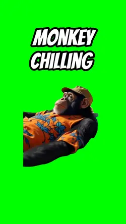 Monkey chilling 