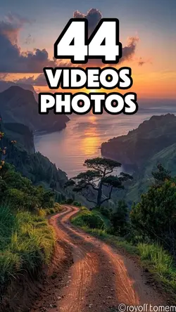 44 videos or photos