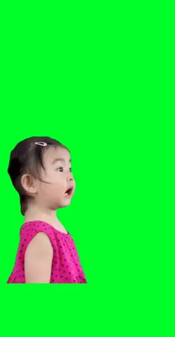 Big Wow