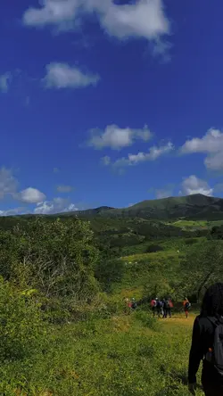 Trilha 