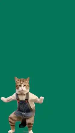 Dance com o Gato