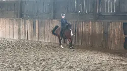 New hearthorse, old-