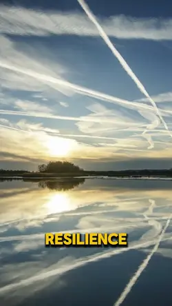 Resilience 