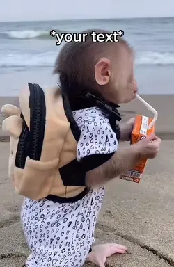 Monkey business 