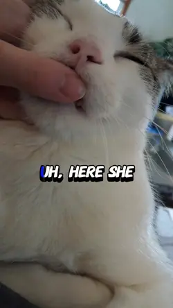 looking at teefers
