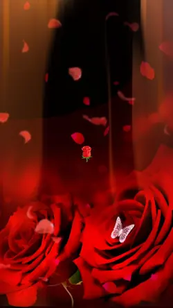 red-rose