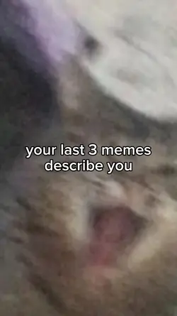meme