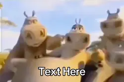 he likes you