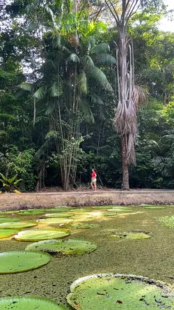 Vlog viagem 🗺️