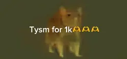 Tysm for 1k❤️❤️❤️❤️❤️❤️❤️❤️