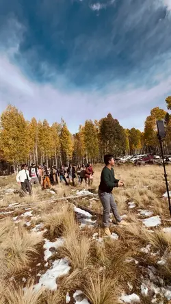 BTS