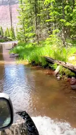 Mountain Stream 