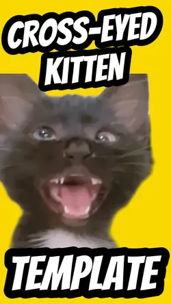 Cross eyed kitten