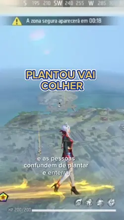 PLANTOU COLHE 