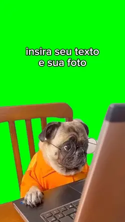 insira seu texto 