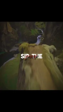 Sip the gossip