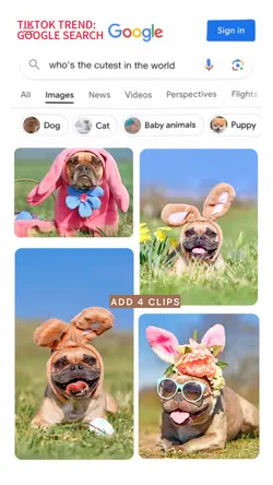 google search cutest