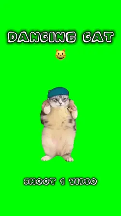 Dancing Cat