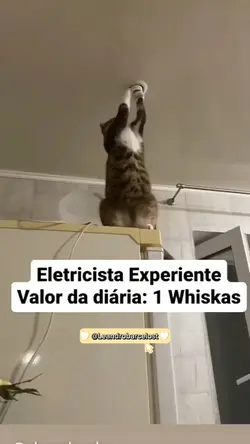 o eletricista 
