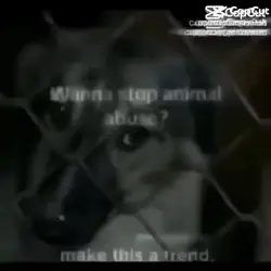 Animal abuse. 