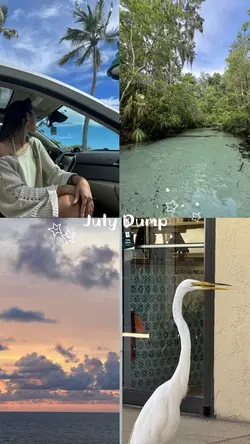 July Dump 📸