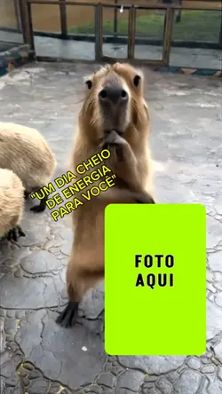 Ótimo Dia pra você 