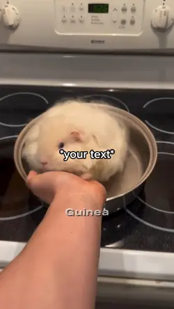 Burned hamster