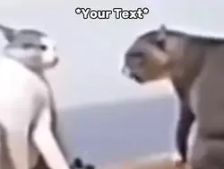 Fighting Meme