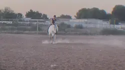 Bridleless! 