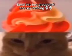Frosting cat