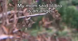 Dark humor joke 2