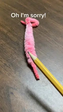 Worm abuse X3