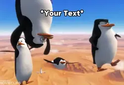 Me And The Boys Meme