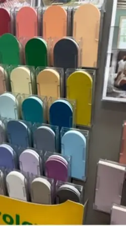 Color Palette 