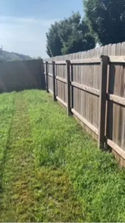 Lawn 