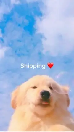 Shipping ❤️ 