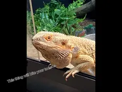 …
