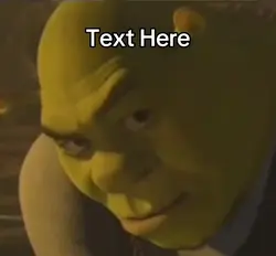 shrek stare