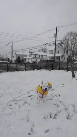 Snow Play