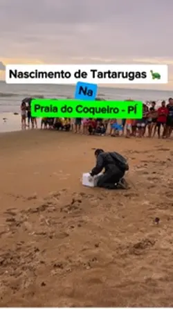 Nascimento 🐢💚