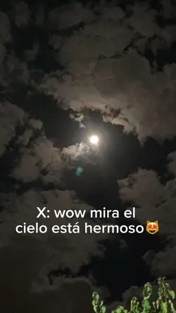 Xd 