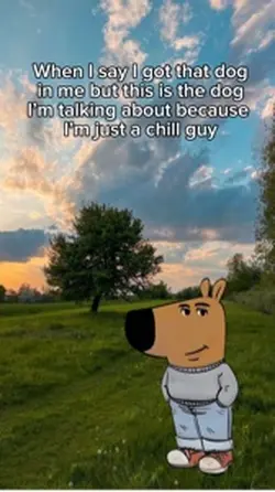 Chill guy 
