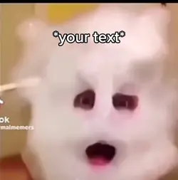 Waaaaaaaaa