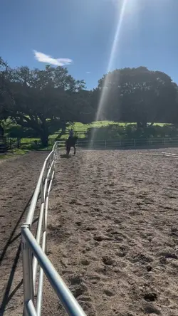 Love this hors