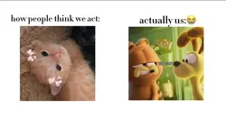 expectationvsreality
