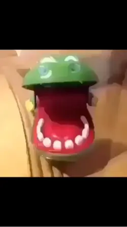 Alligator 