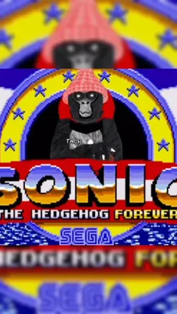 Segaaa 