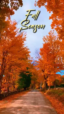 Fall Season Dump