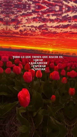 Amén 