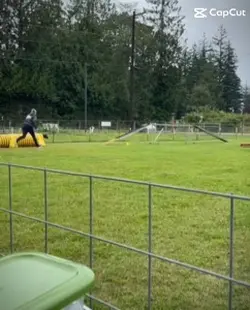Agility!